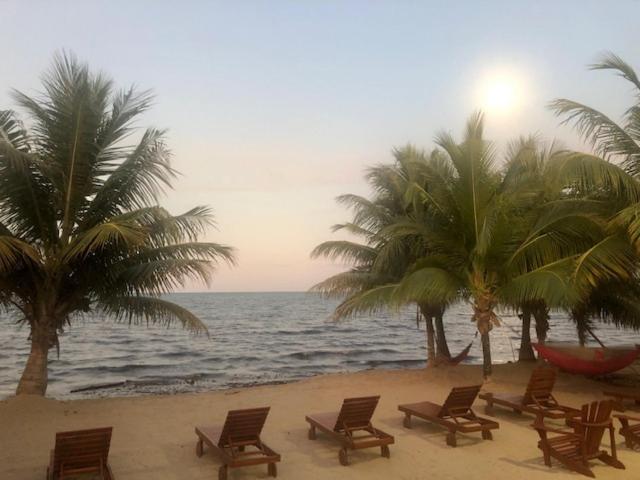 The White Horse Inn - Hopkins Village Beach Belize מראה חיצוני תמונה