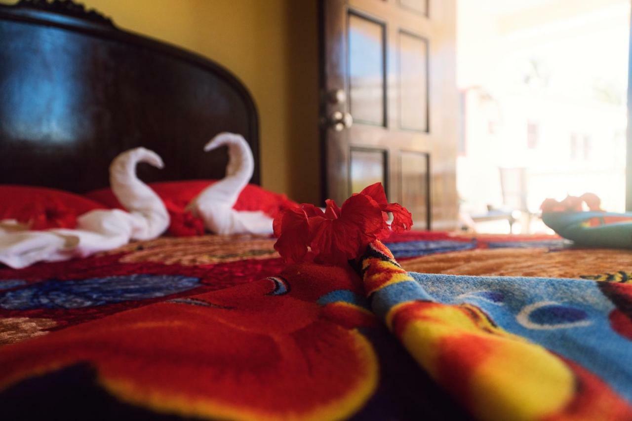 The White Horse Inn - Hopkins Village Beach Belize מראה חיצוני תמונה